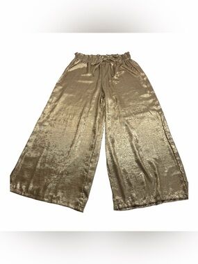 Metallic Gold Wide-Leg Women's Pants with Elastic Waist. Size 1X